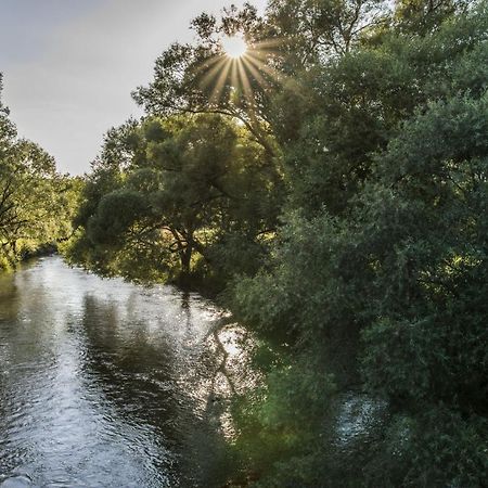 Ferienwohnung Jobst - Ruhig Mit Blick Ins Gruene Nittenau Luaran gambar